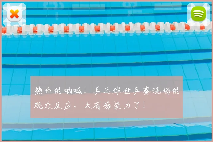 热血的呐喊!乒乓球世乒赛现场的观众反应,太有感染力了!