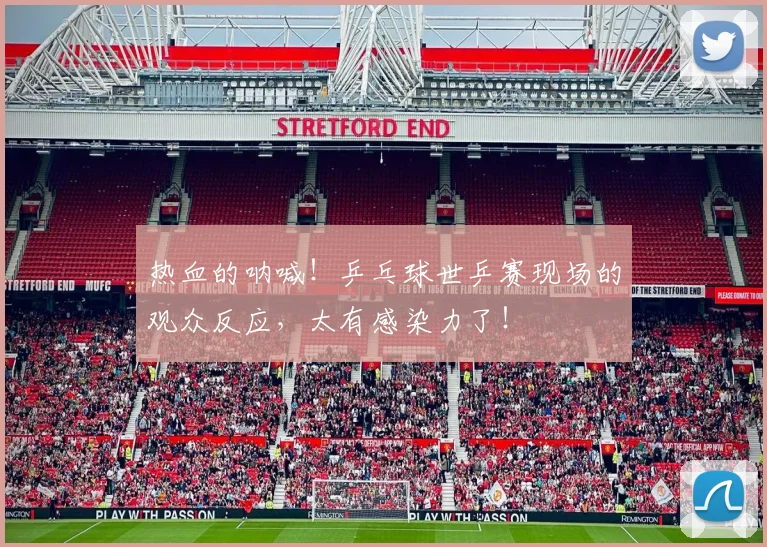热血的呐喊！乒乓球世乒赛现场的观众反应，太有感染力了！
