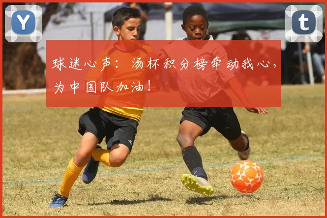 球迷心声：汤杯积分榜牵动我心，为中国队加油！