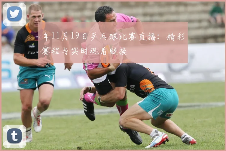 年11月19日乒乓球比赛直播：精彩赛程与实时观看链接